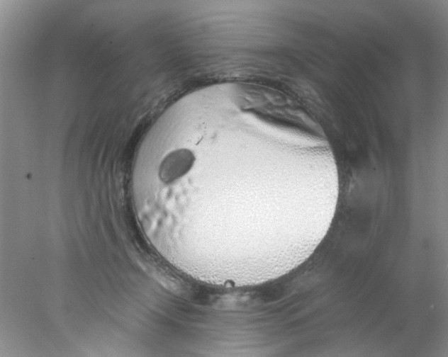 X0000078020366200611171919