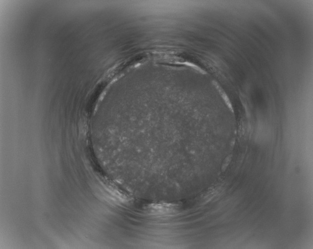 X0000078020367200611171919