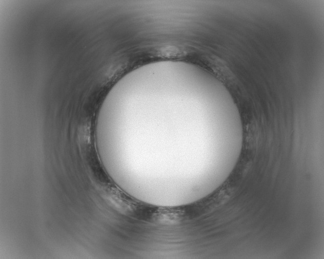 X0000078020368200611171919