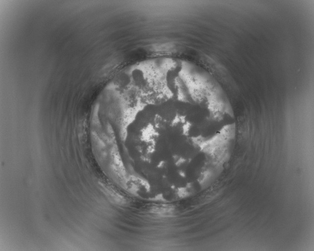 X0000078020369200611171919