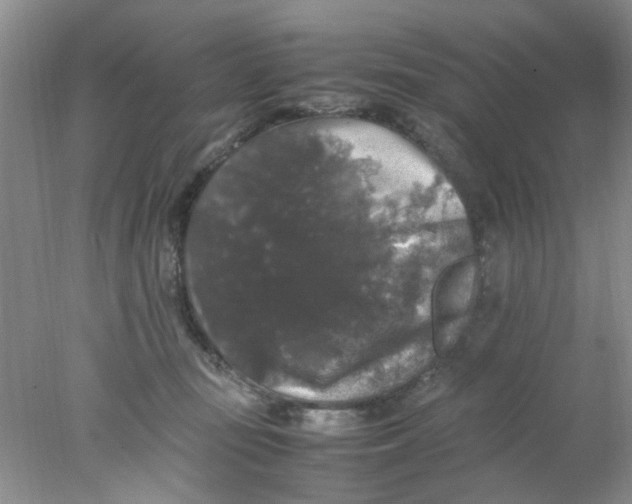 X0000078020371200611171919