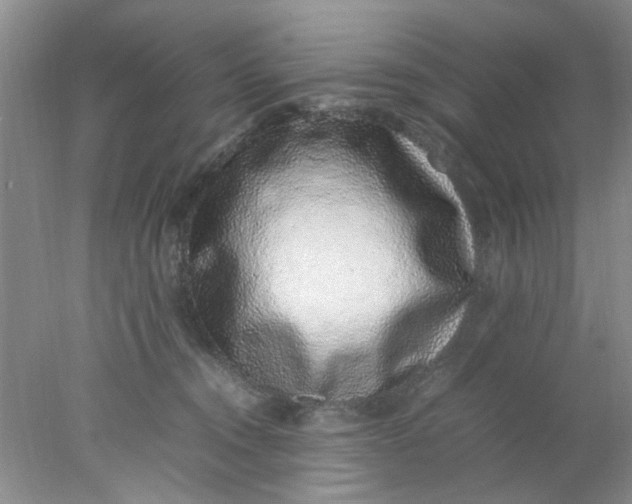 X0000078020372200611171919