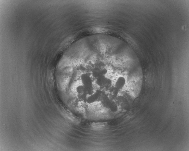 X0000078020373200611171919