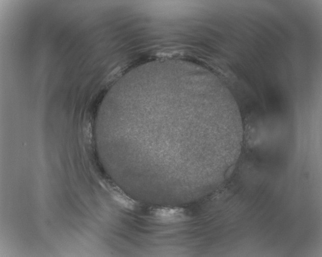 X0000078020375200611171919