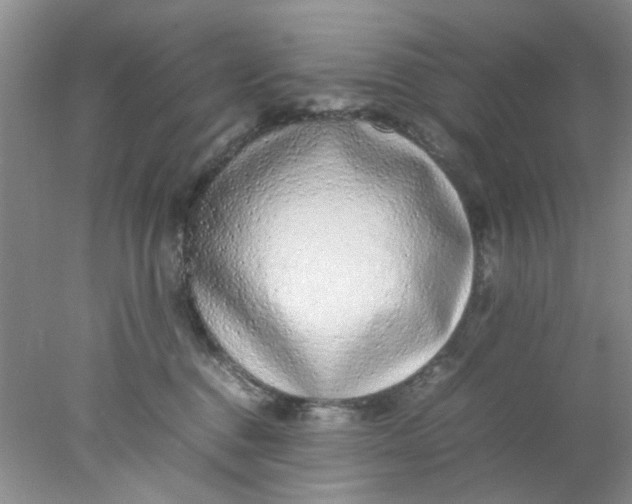 X0000078020376200611171919