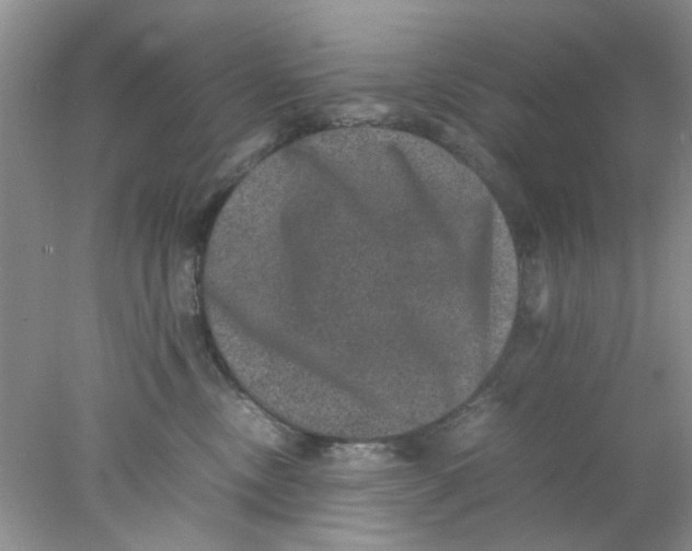 X0000078020378200611171919