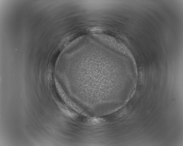 X0000078020379200611171919