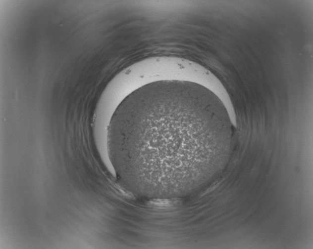 X0000078020381200611171919