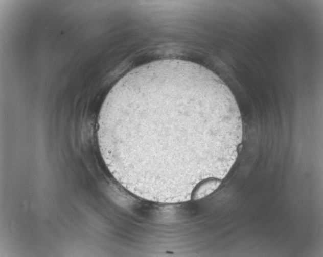 X0000078020382200611171919