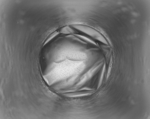 X0000078020385200611171918