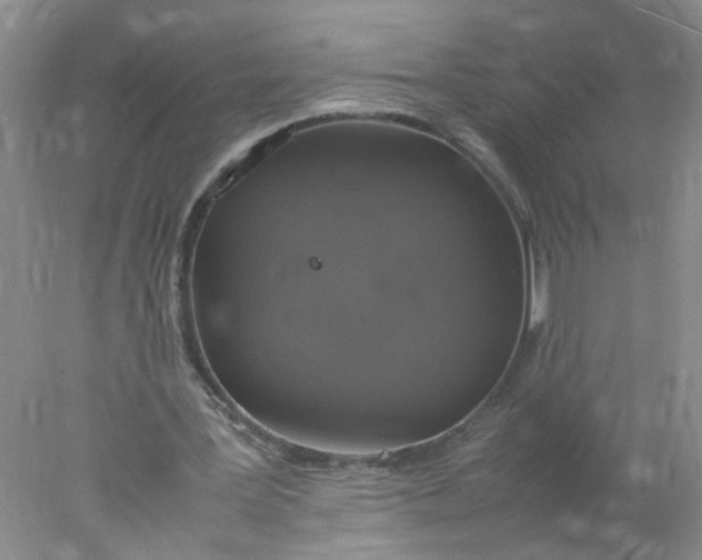 X0000078020387200611171918