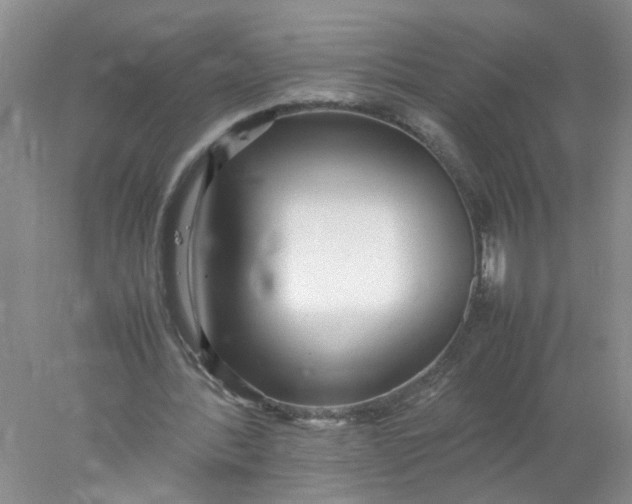 X0000078020388200611171918