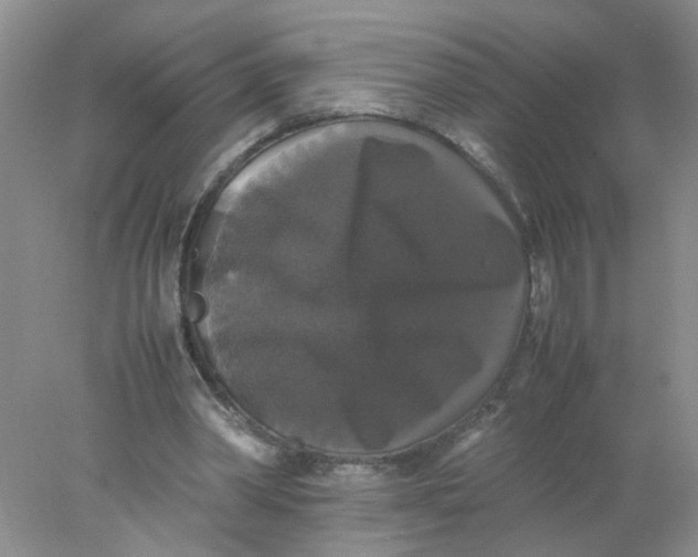 X0000078020390200611171918