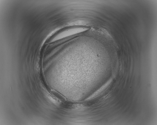 X0000078020392200611171918