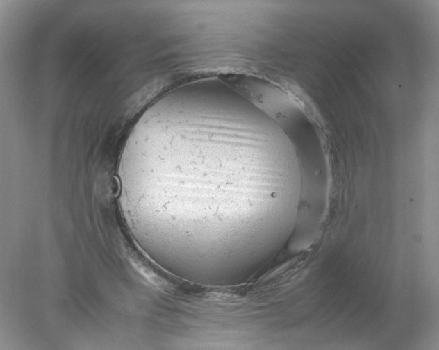 X0000078020393200611171918