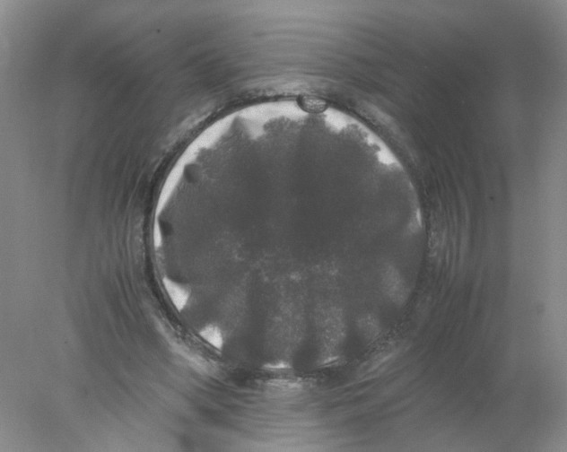 X0000078020394200611171918