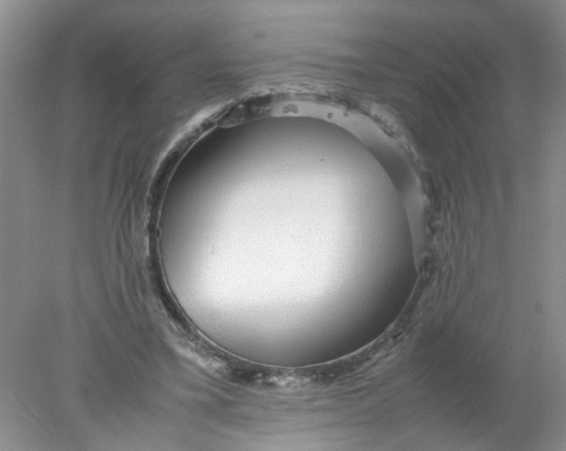 X0000078020395200611171918