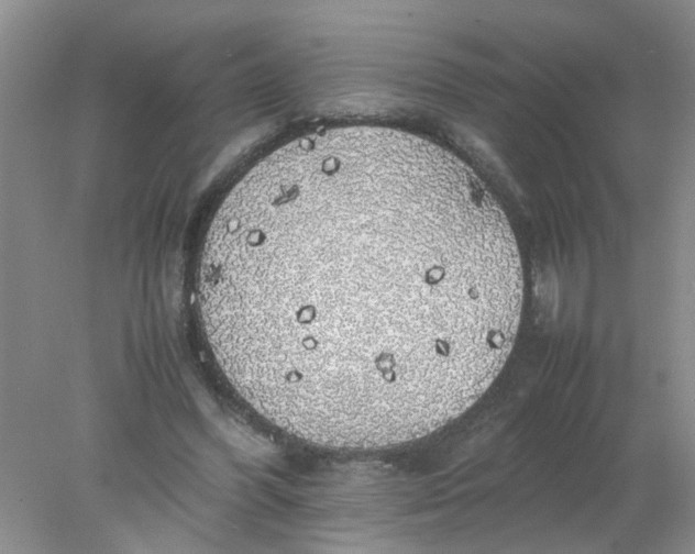 X0000078020396200611171918