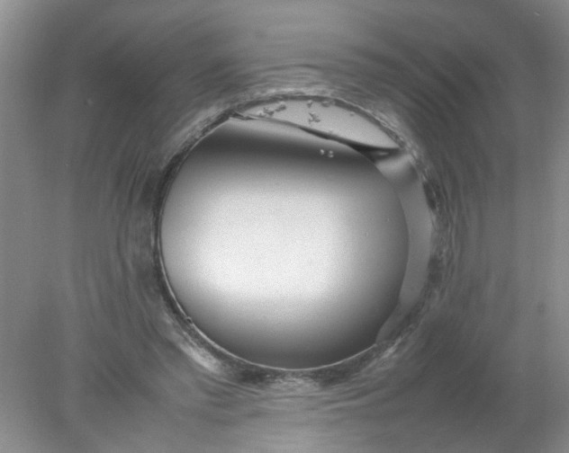 X0000078020397200611171918