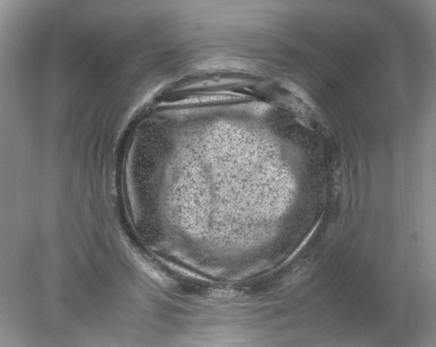 X0000078020399200611171918