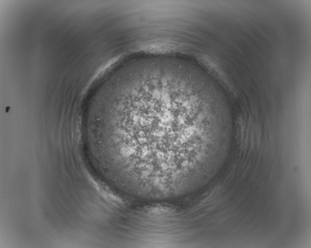 X0000078020400200611171918