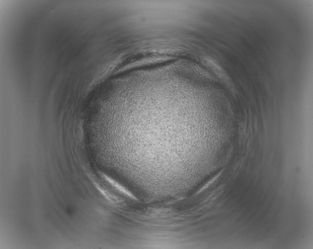 X0000078020401200611171918