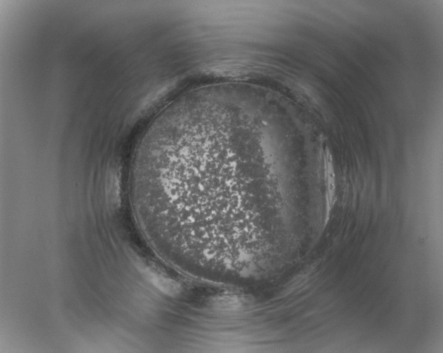 X0000078020404200611171918