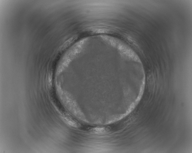 X0000078020406200611171918