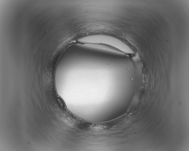 X0000078020407200611171918