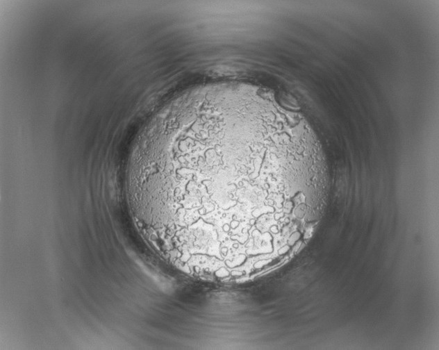 X0000078020408200611171918