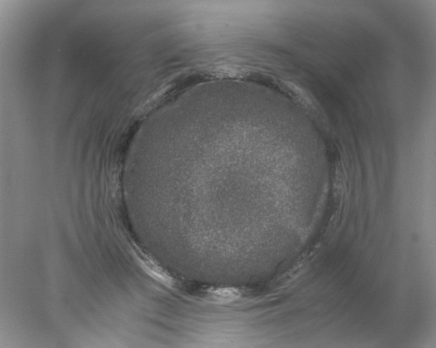 X0000078020409200611171918