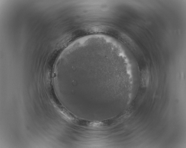 X0000078020410200611171918