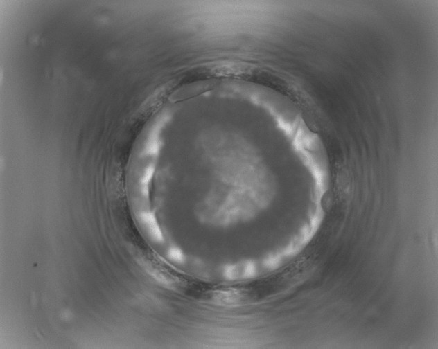 X0000078020411200611171918