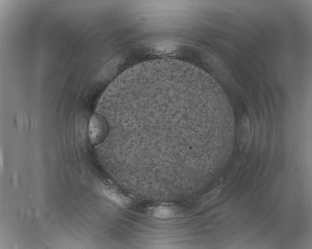 X0000078020412200611171918