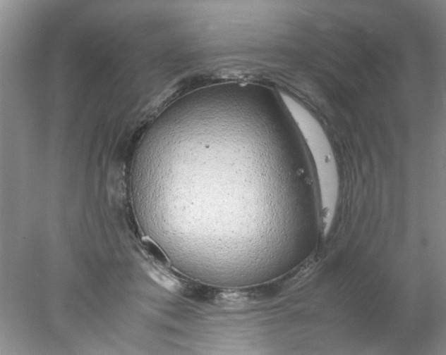 X0000078020413200611171918