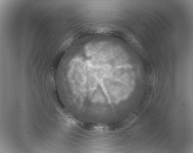 X0000078020415200611171918