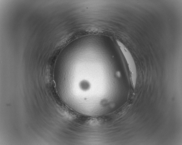 X0000078020416200611171918