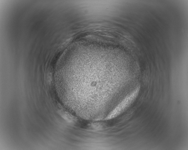 X0000078020417200611171918