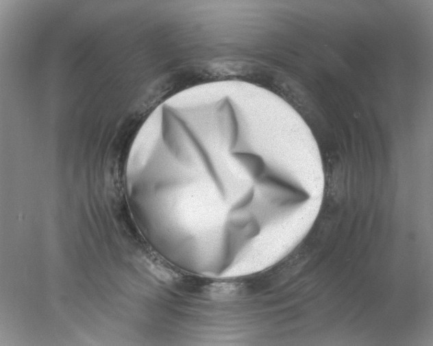 X0000078020418200611171918