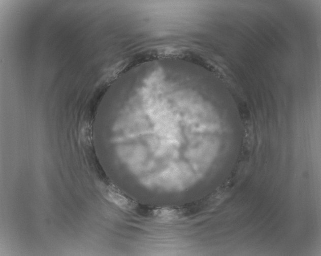 X0000078020419200611171918