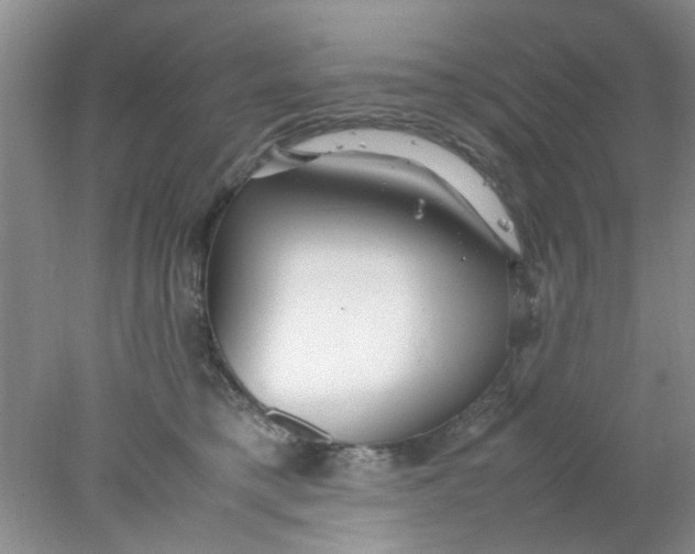 X0000078020421200611171918