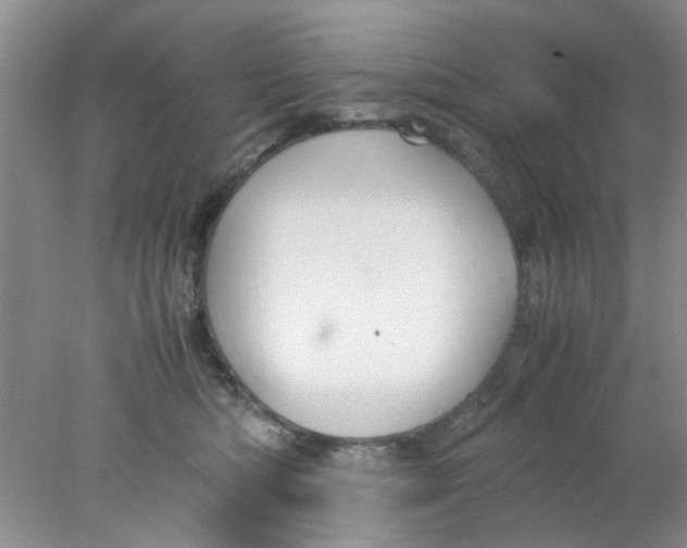 X0000078020422200611171918