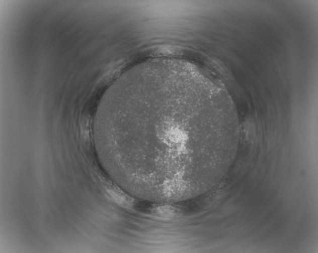 X0000078020423200611171918