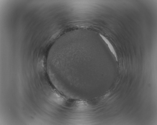 X0000078020424200611171918