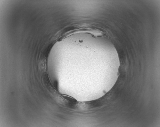 X0000078020425200611171918