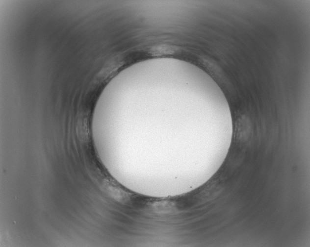 X0000078020426200611171918