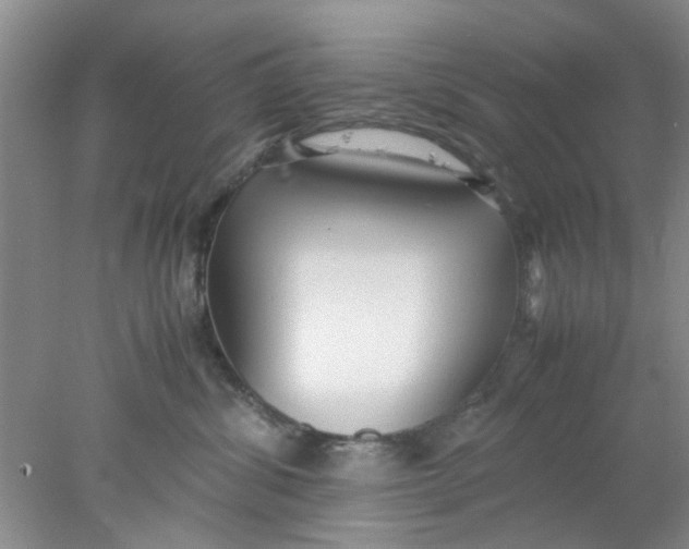 X0000078020428200611171918