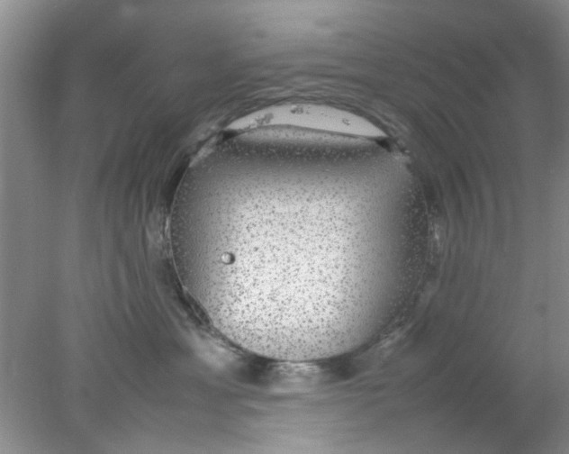 X0000078020429200611171918