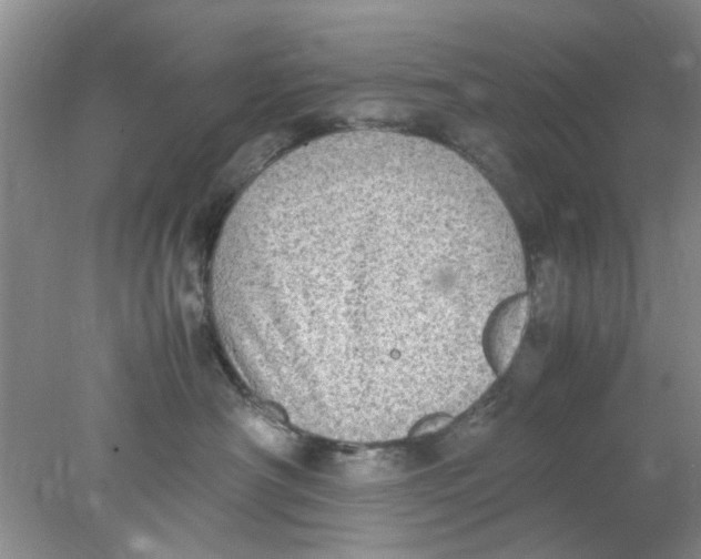 X0000078020430200611171918