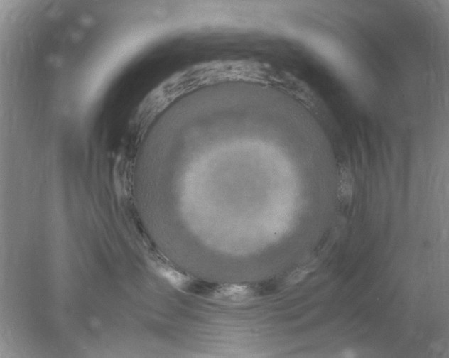 X0000078020431200611171918